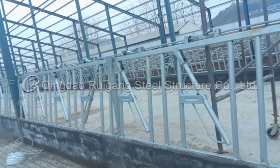  의료용 포도당/식품급 포도당/공업용 포도당/포도당수 처리제 함량이 높습니다.  수처리 화학회사